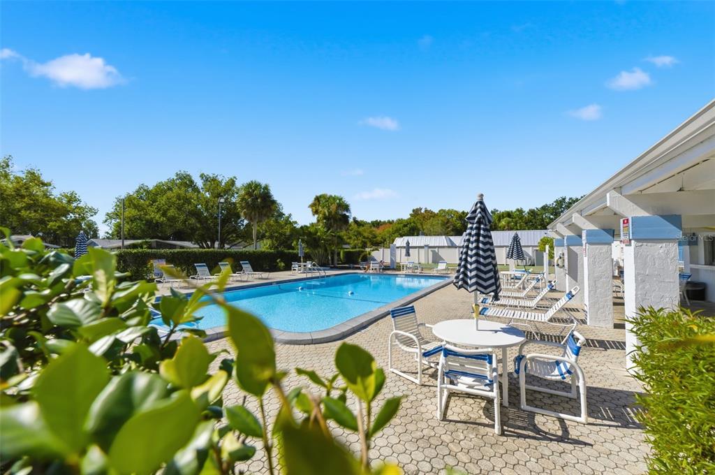 4218 Terrapin Place, Unit D New Port Richey, FL 34652 - Photo 2 of 34 a view of a chairs and table in patio