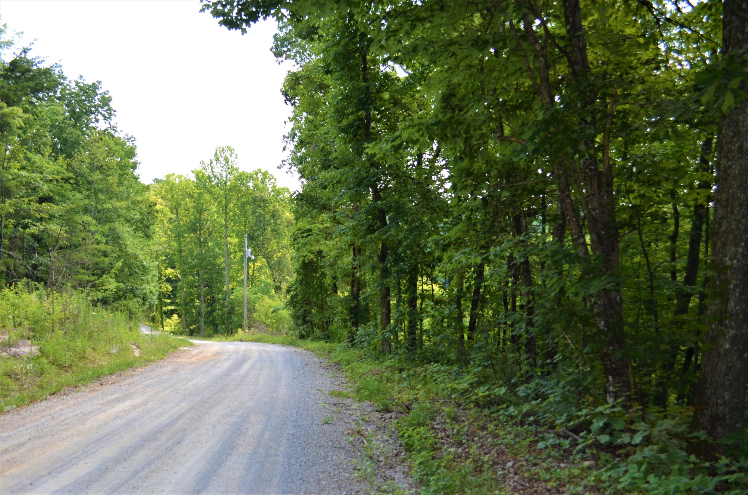 753 Chestnut Ridge Road Spring City, TN 37381 - Photo 8 of 9 DSC_0475
