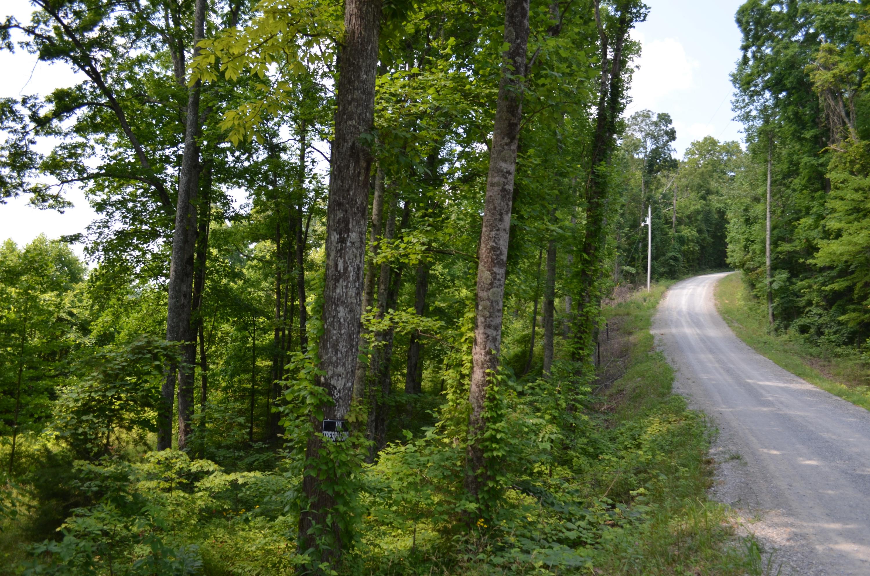 753 Chestnut Ridge Road Spring City, TN 37381 - Photo 9 of 9 DSC_0482