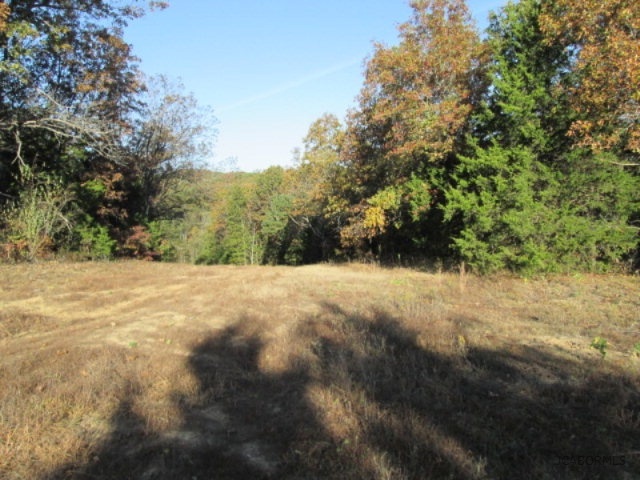 Tbd Tbd Lost Horizons Road Tebbetts, MO 65080 - Photo 3 of 7