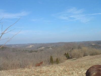 6889 Reitman Road Alexandria, KY 41001 - Photo 3 of 5 Gallery Image 3