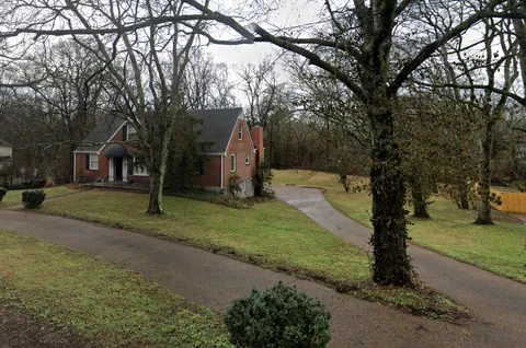 a view of backyard with tree