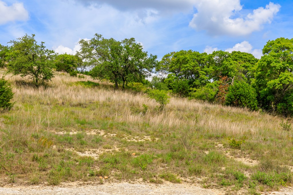 Lot 50 Maenius Road, Unit 50 Blanco, TX 78606 - Photo 12 of 18 Gallery Image 12