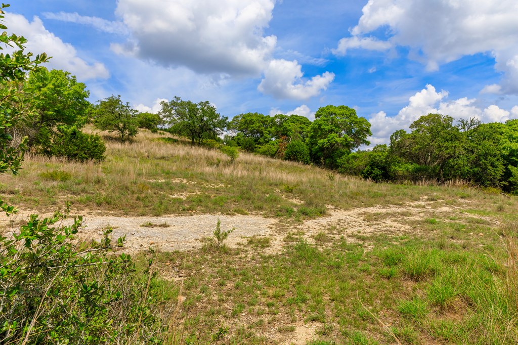 Lot 50 Maenius Road, Unit 50 Blanco, TX 78606 - Photo 13 of 18 Gallery Image 13