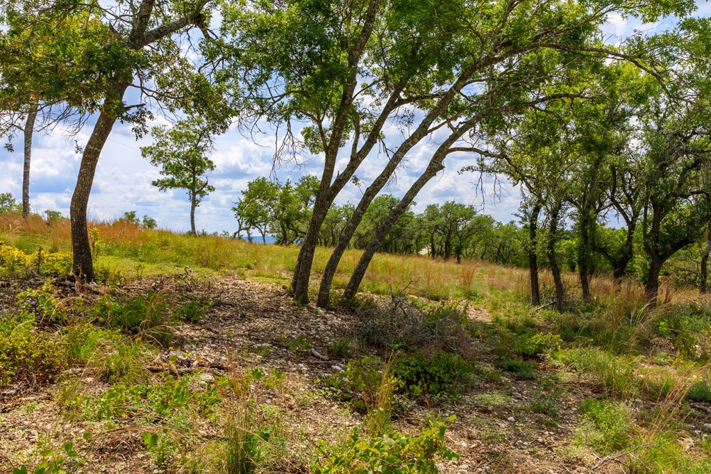 Lot 50 Maenius Road, Unit 50 Blanco, TX 78606 - Photo 15 of 18 Gallery Image 15