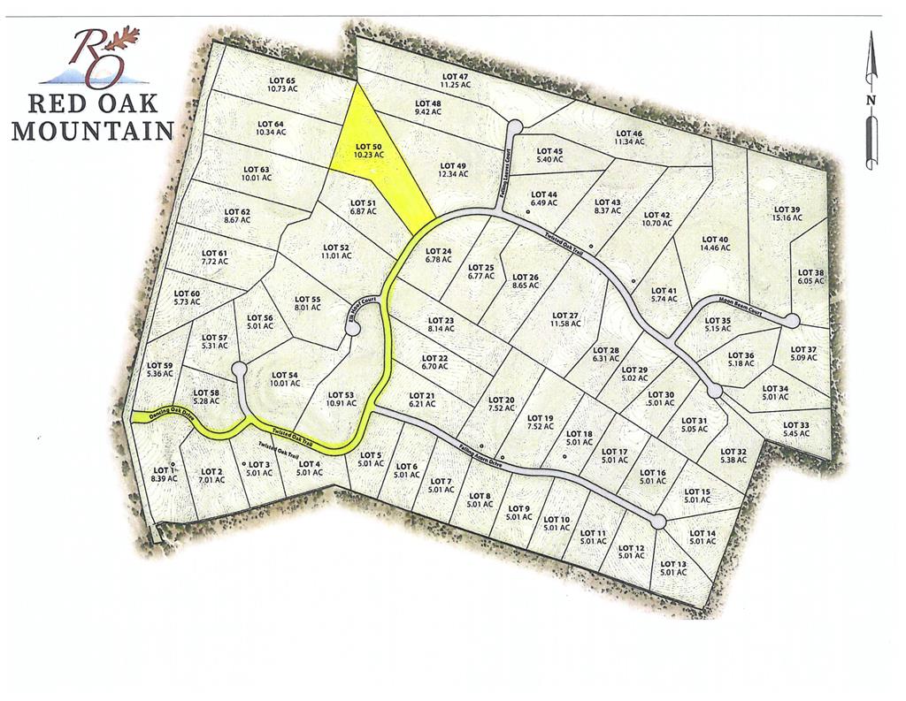 Lot 50 Maenius Road, Unit 50 Blanco, TX 78606 - Photo 18 of 18 Gallery Image 18