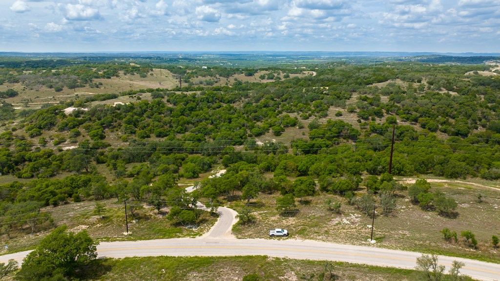 Lot 50 Maenius Road, Unit 50 Blanco, TX 78606 - Photo 2 of 18 Gallery Image 2