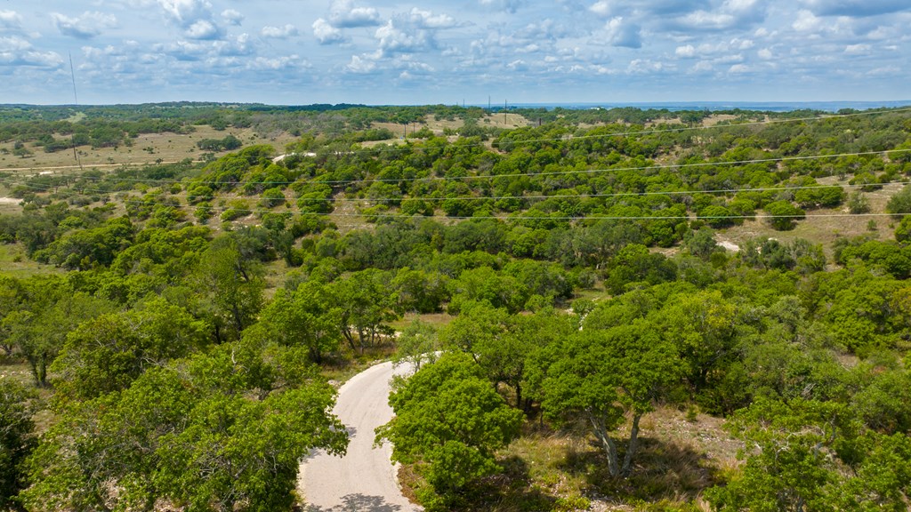 Lot 50 Maenius Road, Unit 50 Blanco, TX 78606 - Photo 3 of 18 Gallery Image 3