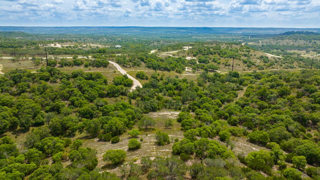 Lot 50 Maenius Road, Unit 50 Blanco, TX 78606 - Photo 4 of 18 Gallery Image 4
