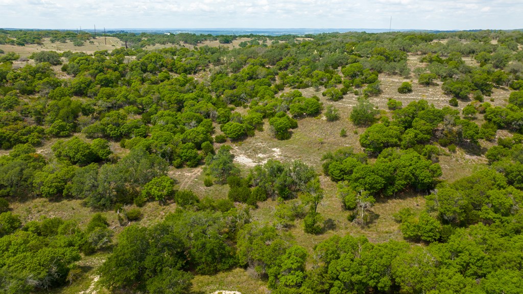 Lot 50 Maenius Road, Unit 50 Blanco, TX 78606 - Photo 5 of 18 Gallery Image 5