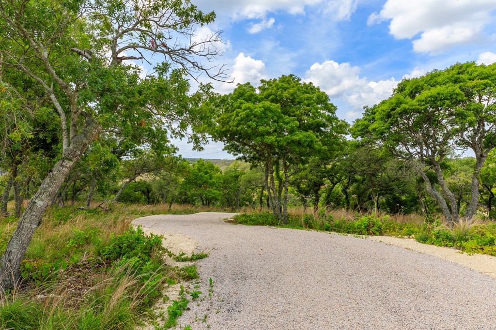 Lot 50 Maenius Road, Unit 50 Blanco, TX 78606 - Photo 6 of 18 Gallery Image 6