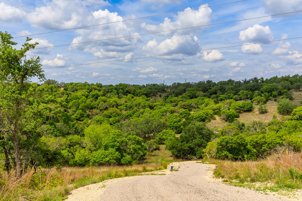 Lot 50 Maenius Road, Unit 50 Blanco, TX 78606 - Photo 10 of 18 Gallery Image 10