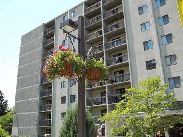 a flower plants in front of a building