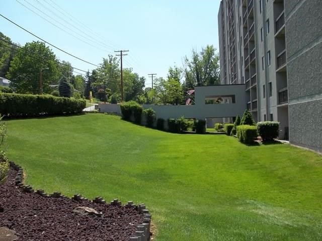 1414 National Road Other, WV 26003 - Photo 3 of 6 a view of a garden with large trees