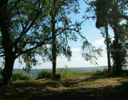 0 Harbor Terrace Road Tavares, FL 32778 - Photo 1 of 1 a view of a trees with an outdoor space