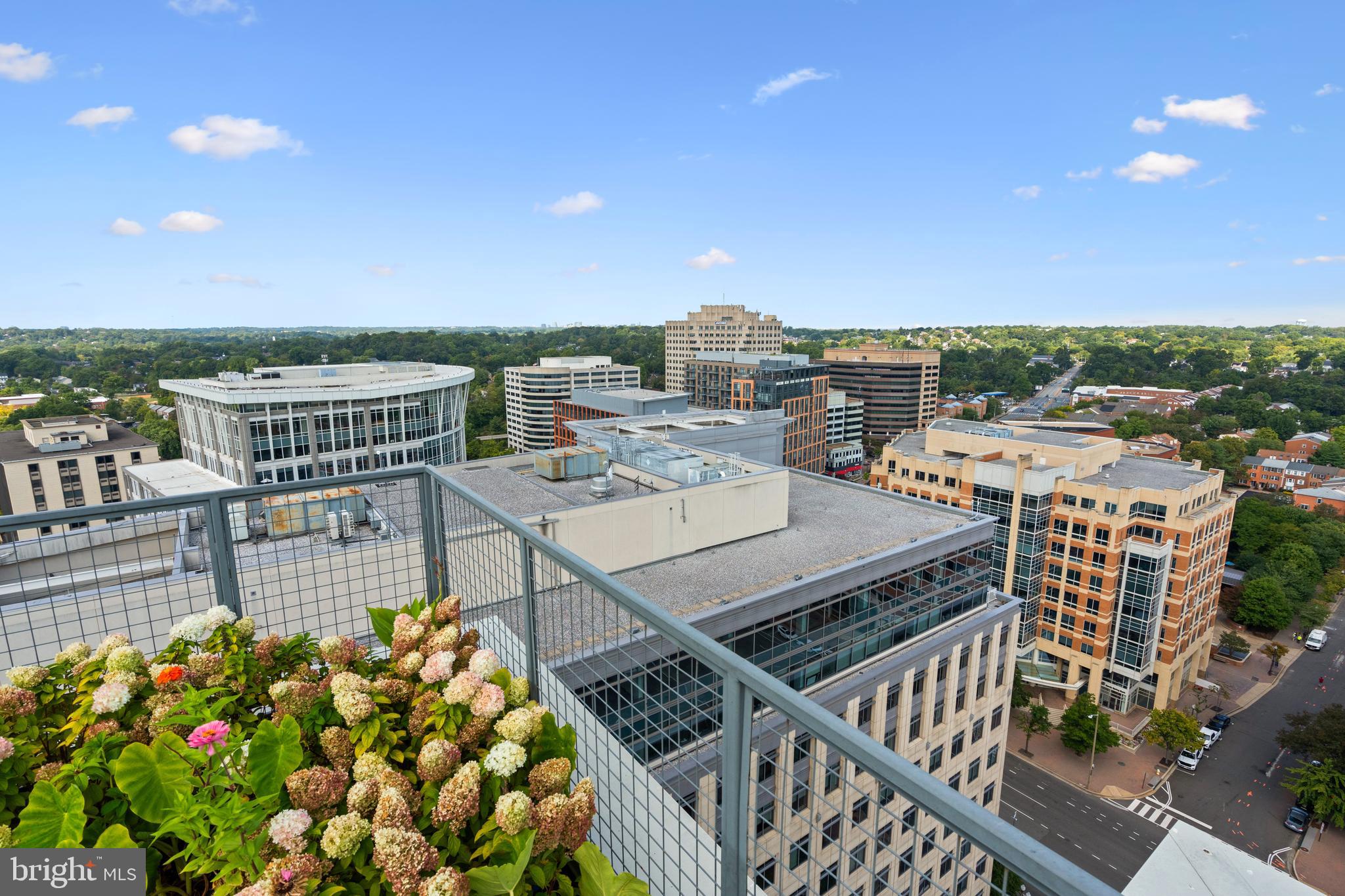 851 North Glebe Road, Unit 1515 Arlington, VA 22203 - Photo 29 of 31