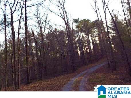 8681 Central Road Warrior, AL 35180 - Photo 23 of 31