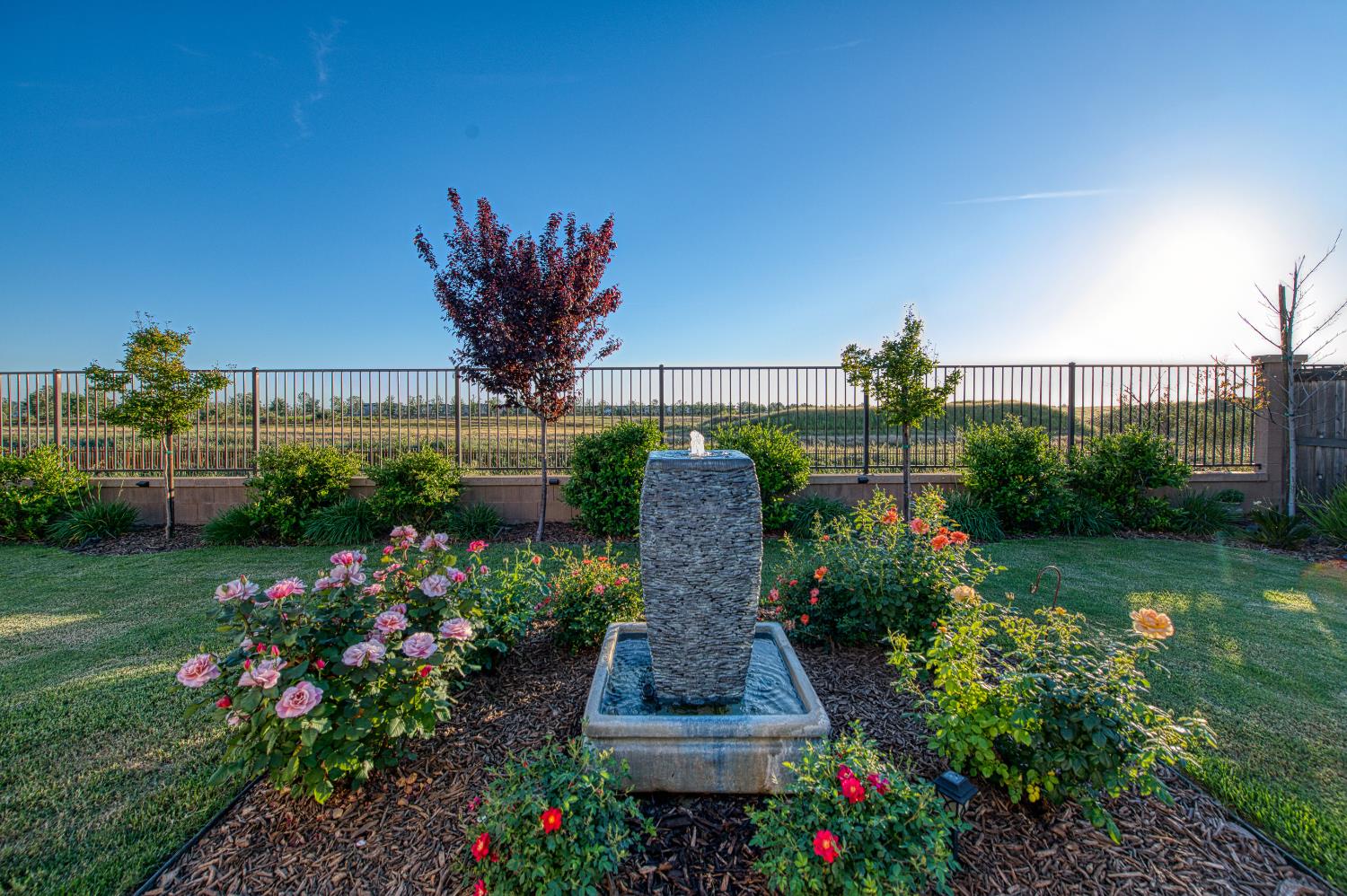 4534 Hillside Road Madera, CA 93636 - Photo 10 of 92 a view of a garden with a flower in a garden