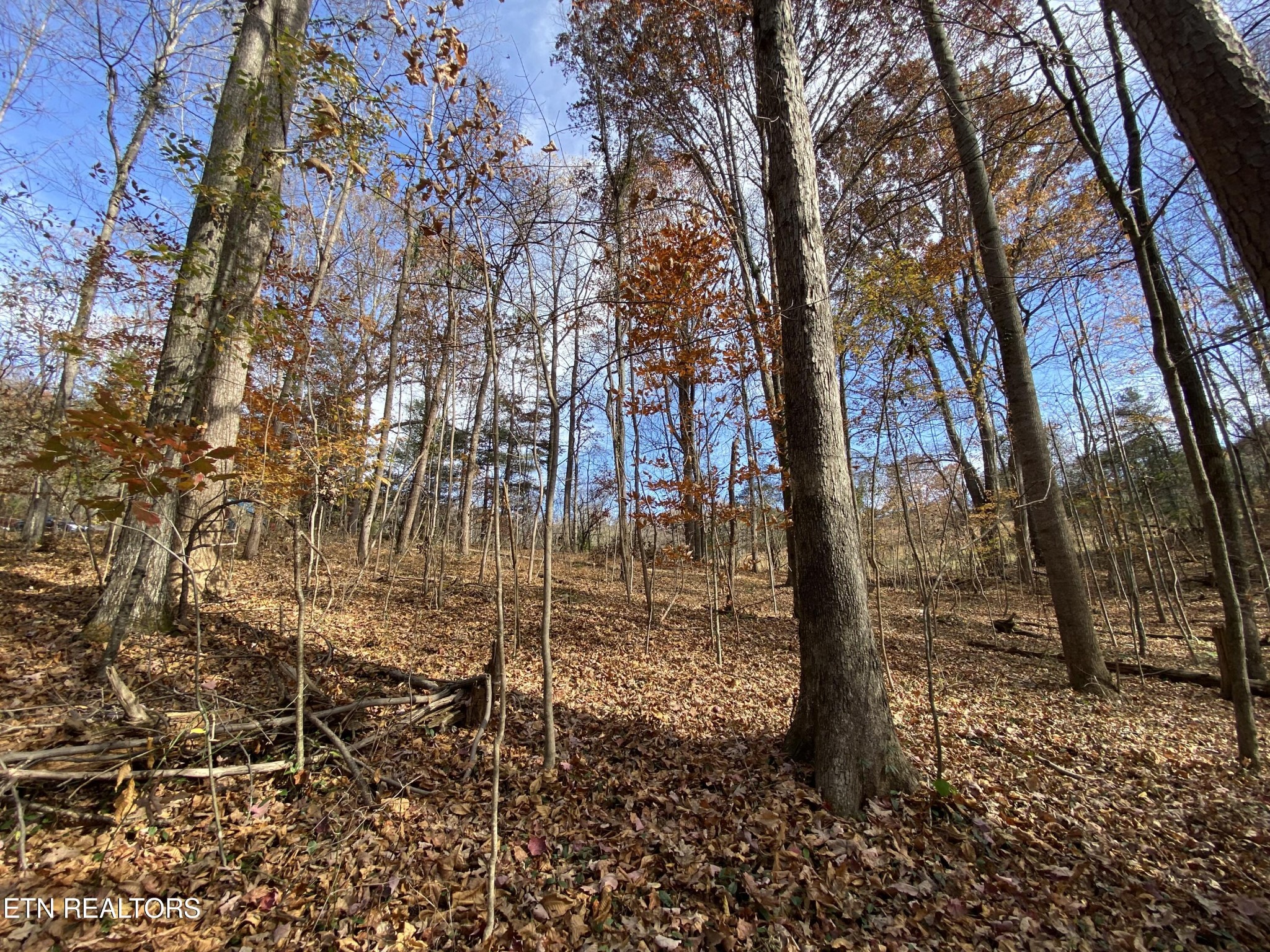672 Big 4 Road La Follette, TN 37766 - Photo 19 of 58 Gallery Image 19