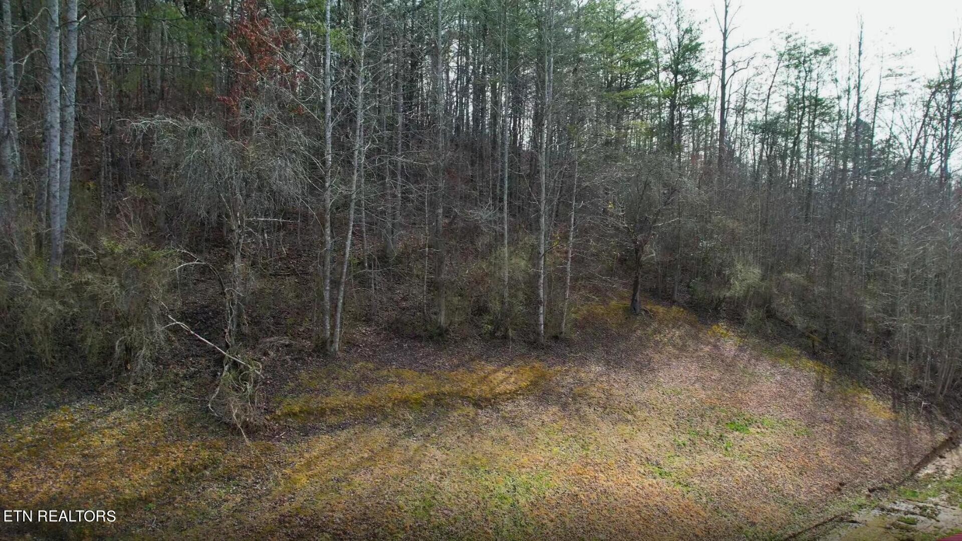 672 Big 4 Road La Follette, TN 37766 - Photo 46 of 58 Gallery Image 46