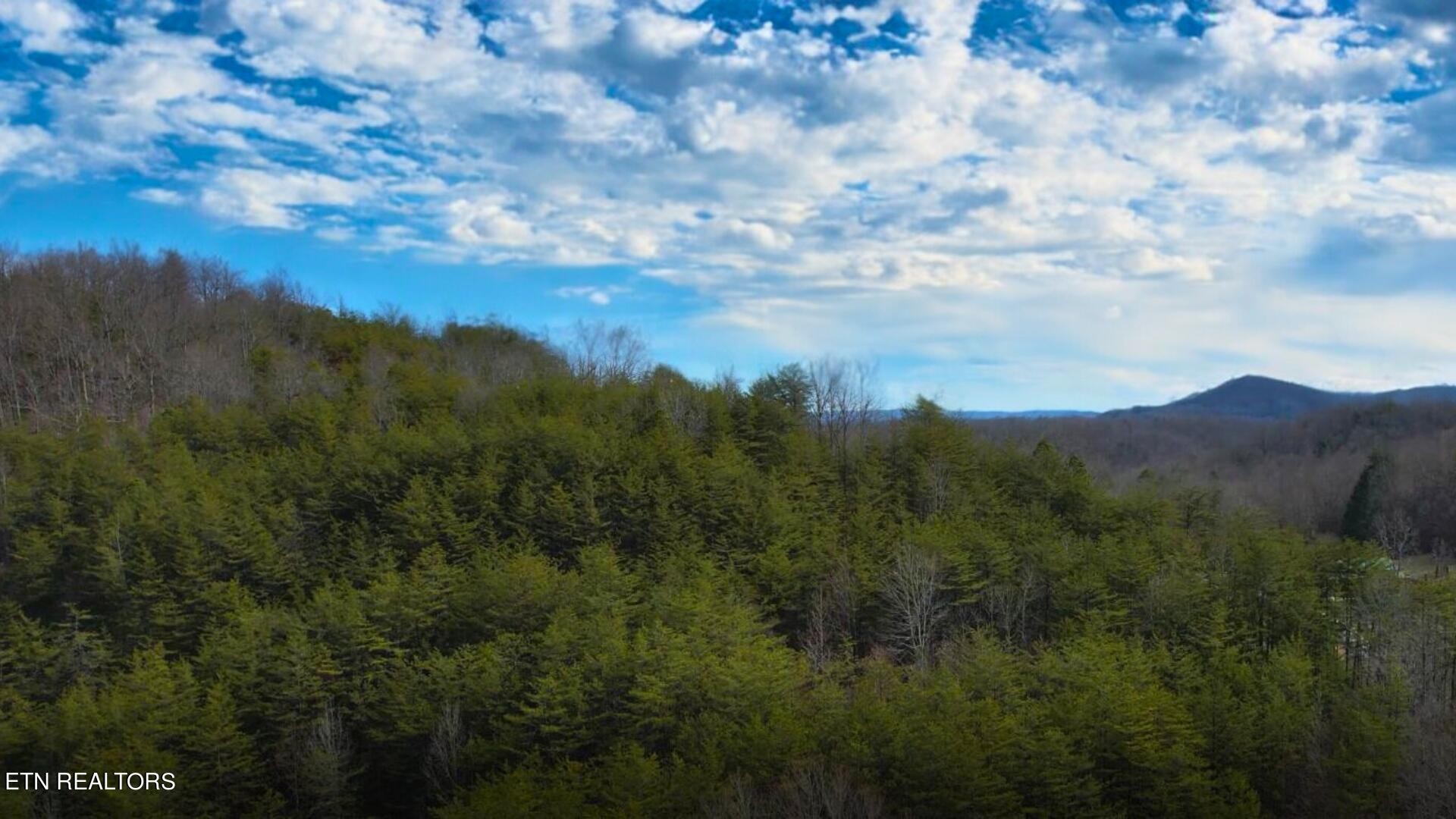 672 Big 4 Road La Follette, TN 37766 - Photo 49 of 58 Gallery Image 49