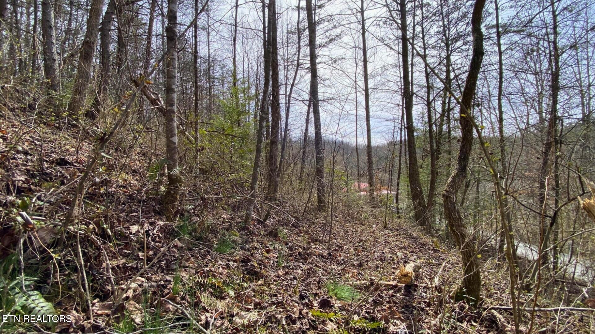 672 Big 4 Road La Follette, TN 37766 - Photo 54 of 58 Gallery Image 54