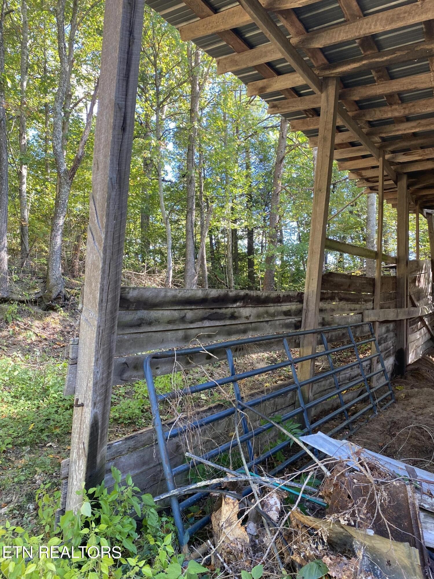 672 Big 4 Road La Follette, TN 37766 - Photo 7 of 58 Gallery Image 7