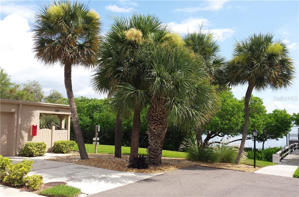 2980 Haines Bayshore Road, Unit 129 Clearwater, FL 33760 - Photo 1 of 1