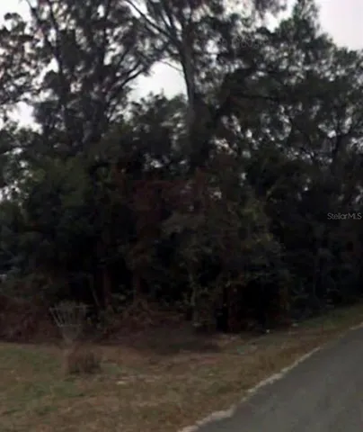 a view of outdoor space with lots of trees