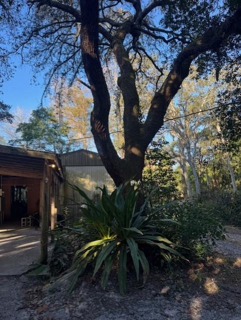 4547 C R 692 Webster, FL 33597 - Photo 18 of 26 a backyard of a house with lots of green space