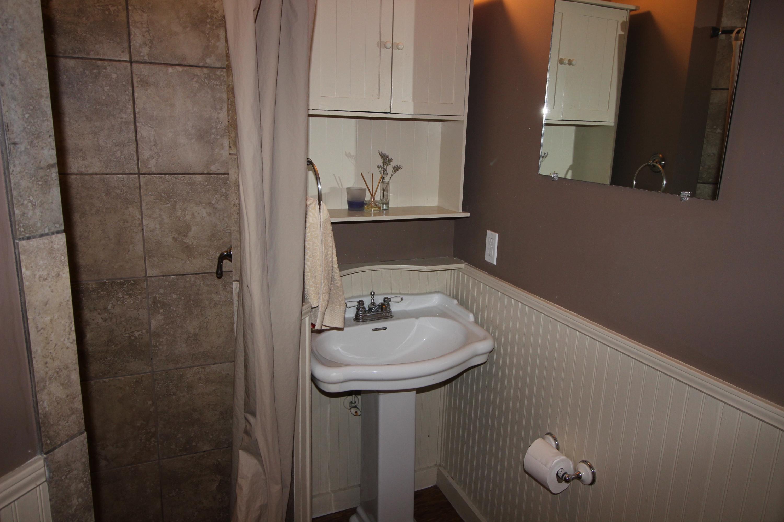 149 Spring Street, Unit A Charleston, SC 29403 - Photo 18 of 23 IMG_3435