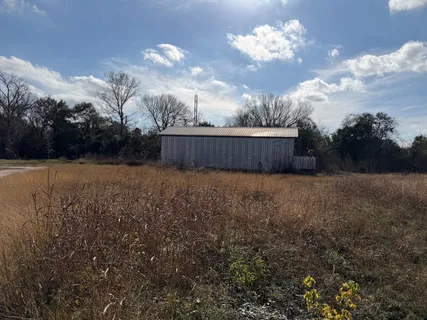 a view of a yard