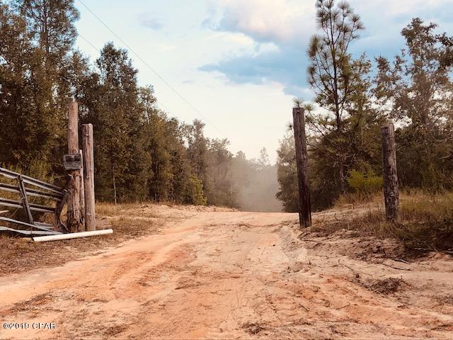 2259 Reedy Creek Road Alford, FL 32420 - Photo 18 of 18
