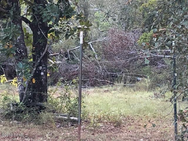 2259 Reedy Creek Road Alford, FL 32420 - Photo 2 of 18