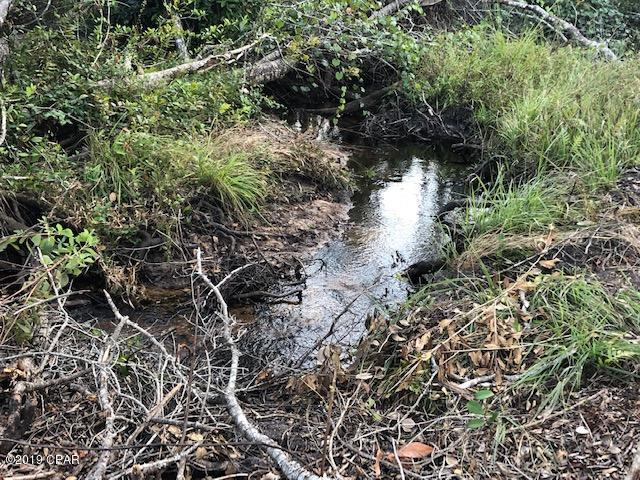 2259 Reedy Creek Road Alford, FL 32420 - Photo 3 of 18