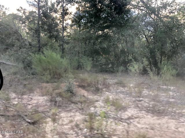 2259 Reedy Creek Road Alford, FL 32420 - Photo 4 of 18