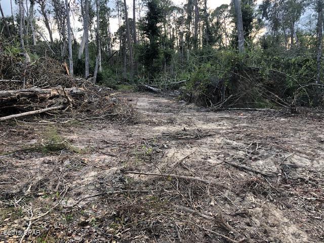 2259 Reedy Creek Road Alford, FL 32420 - Photo 6 of 18