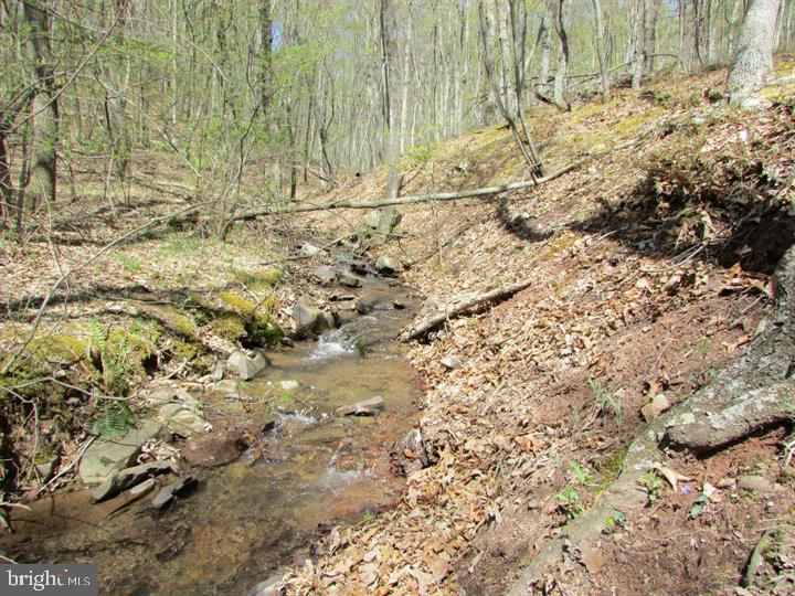 1419 Paul's Woods Road Delray, WV 26714 - Photo 50 of 105 a view of wooden fence