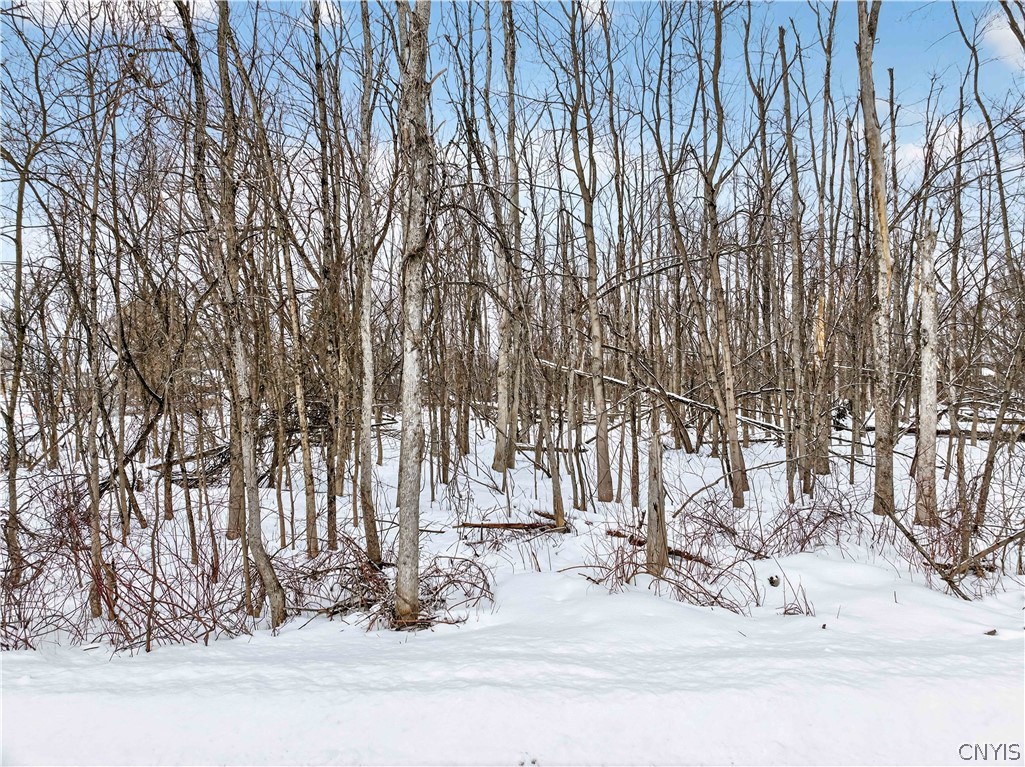 706-708 South George Street Rome, NY 13440 - Photo 3 of 15