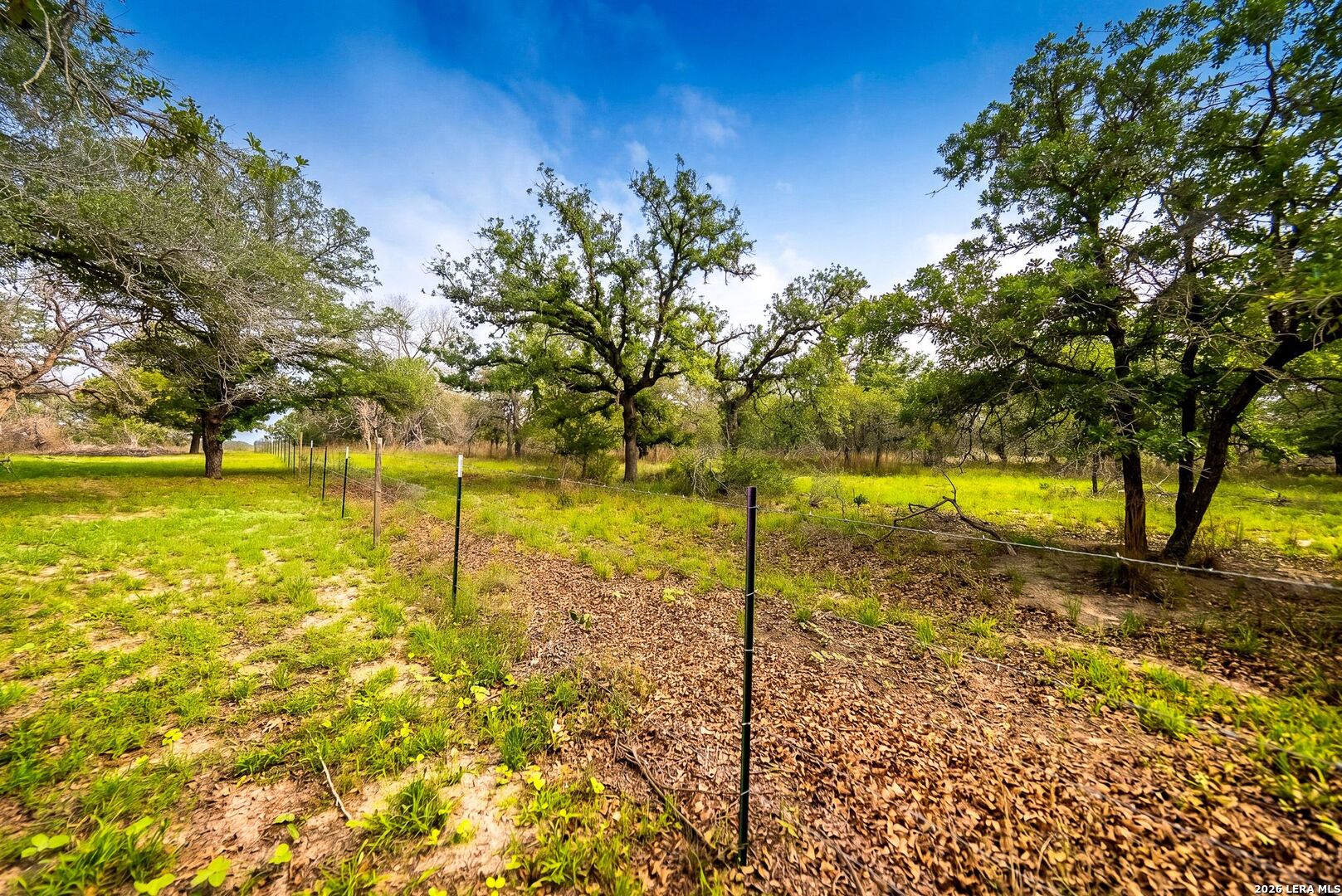 156 Crescent Ridge Adkins, TX 78101 - Photo 53 of 54