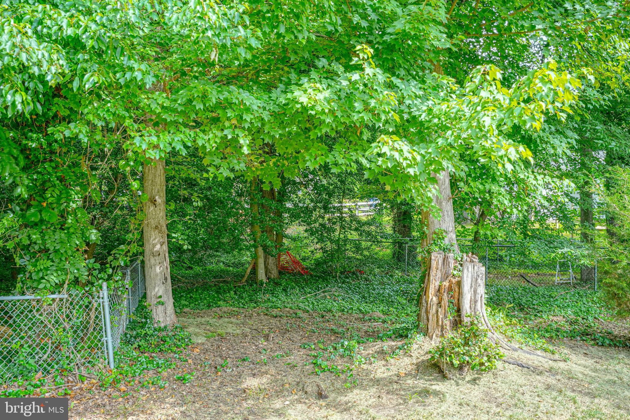 70 Walnut Street Mount Holly, NJ 08060 - Photo 8 of 42