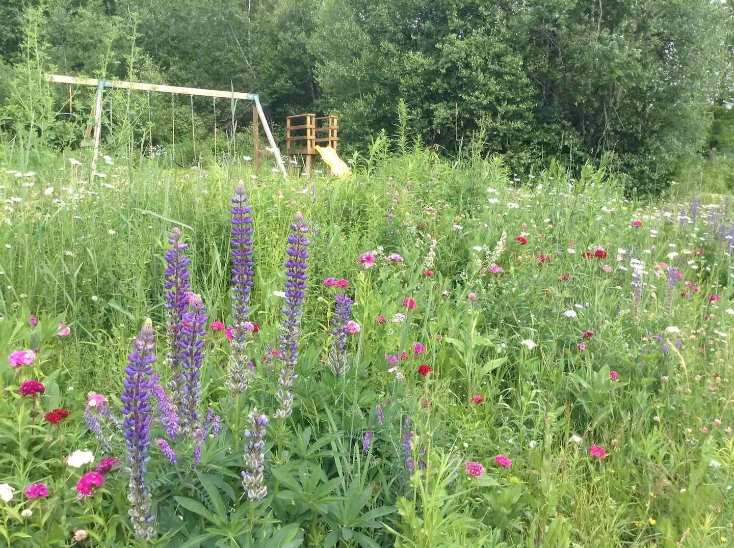 53 Micklin Farm Road Elmore, VT 05661 - Photo 4 of 16