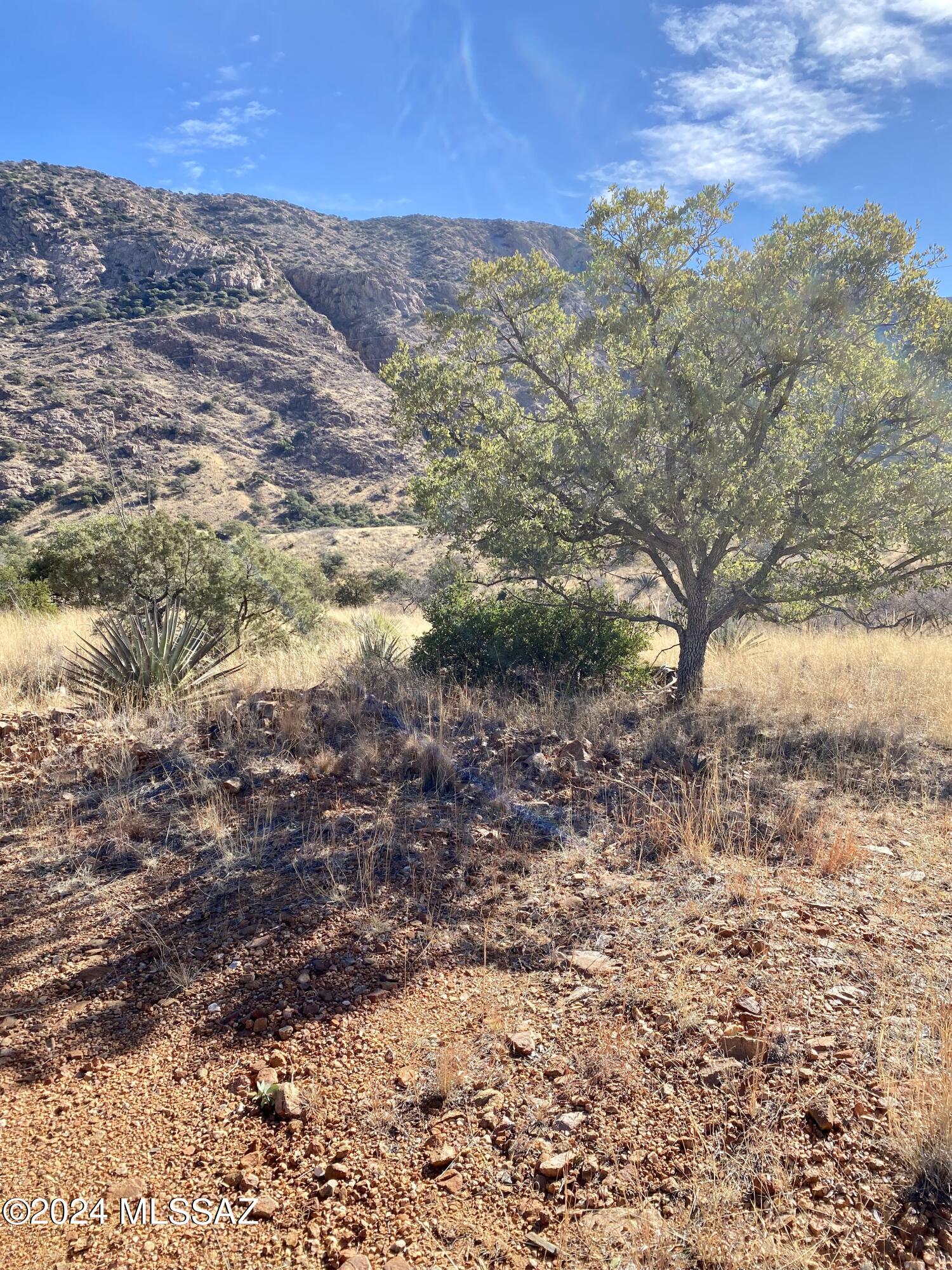 Tbd North Hannon Ranch Lane Bisbee, AZ 85603 - Photo 6 of 12
