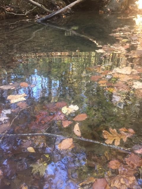 1111 Fox Shadow Lane Rising Fawn, GA 30738 - Photo 3 of 19 a view of a lake