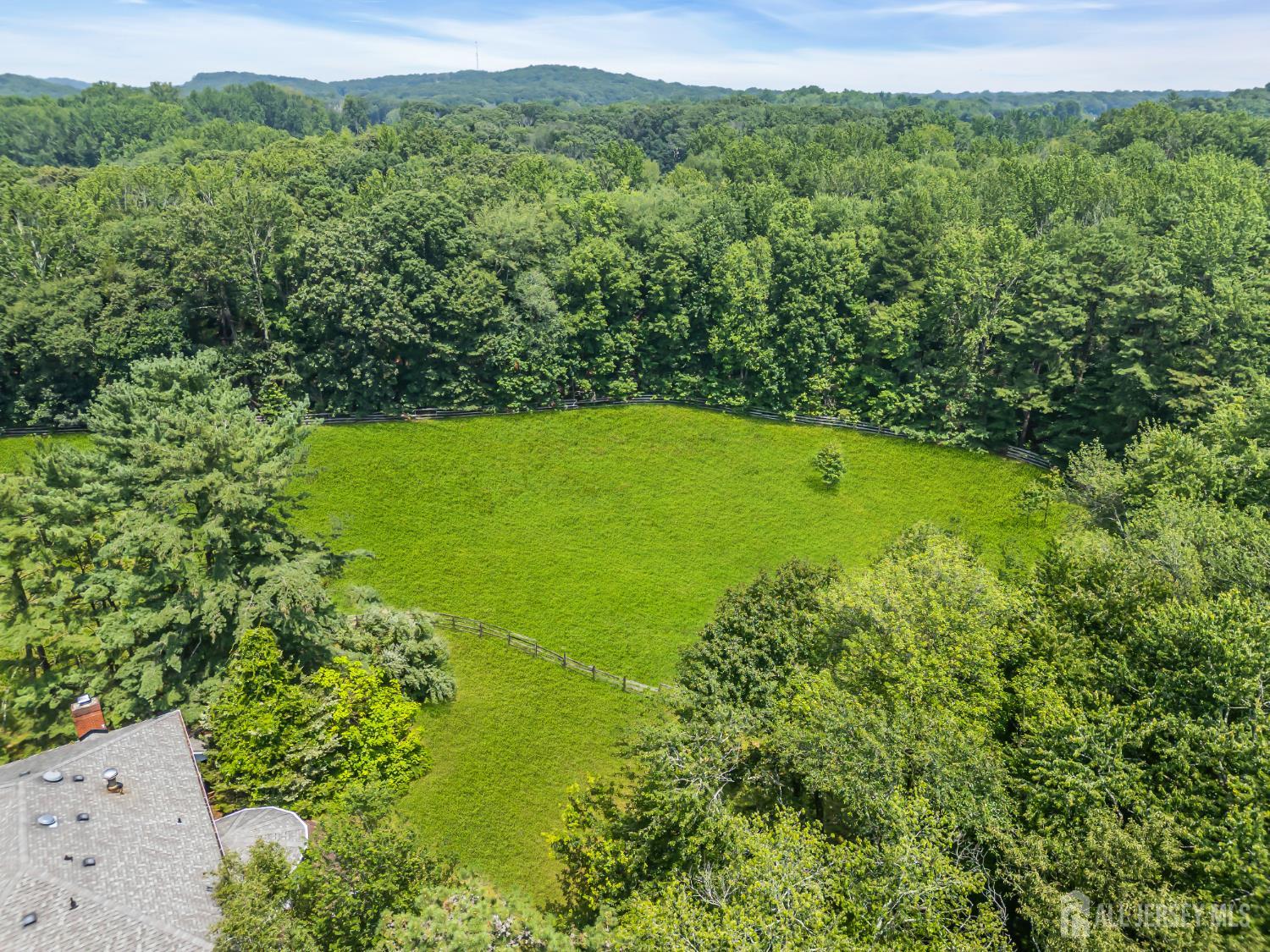 447 Stagecoach Road Millstone Township, NJ 08510 - Photo 28 of 46 a view of a large trees with lots of flower plants