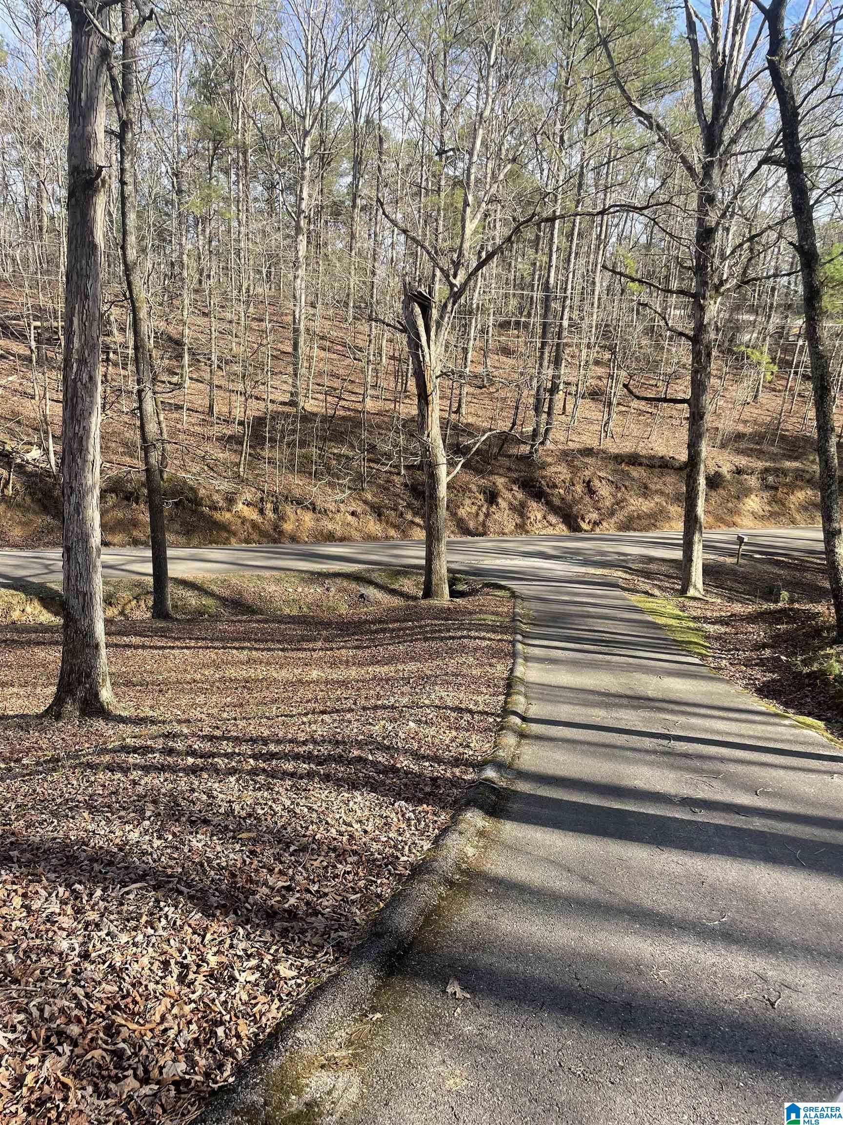 1798 Blackjack Road Trussville, AL 35173 - Photo 27 of 27