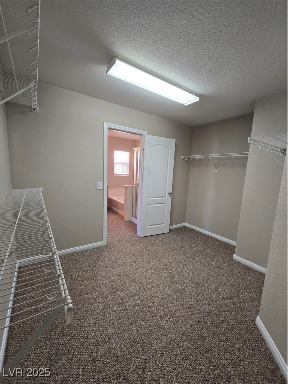 5508 Knotting Pass Las Vegas, NV 89131 - Photo 23 of 45 Spacious closet with light colored carpet