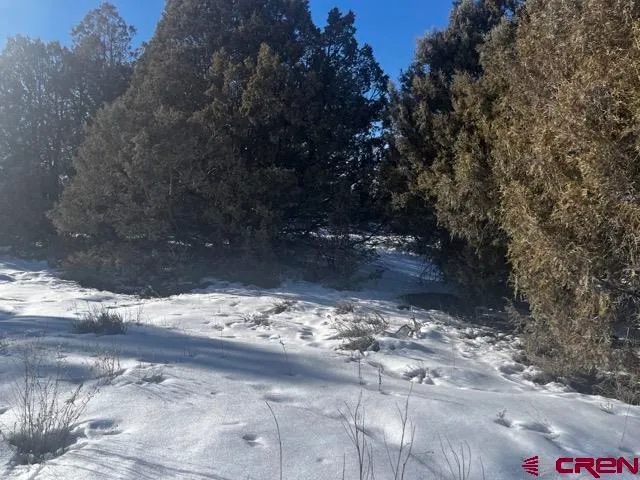 a view of a backyard of a house