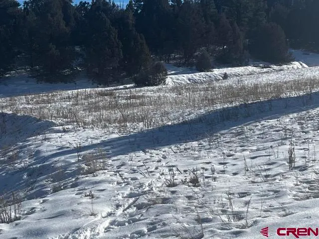 a view of a yard with a house