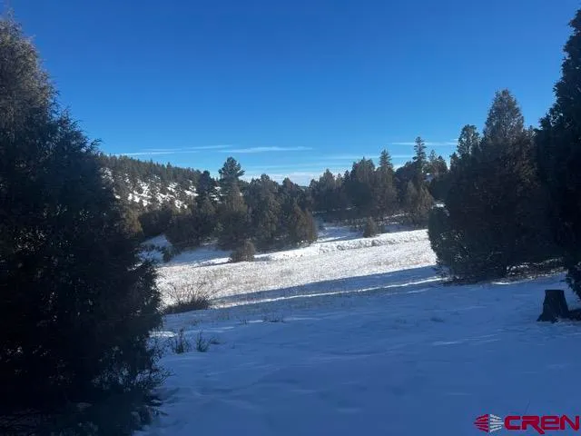 a view of a yard with a tree